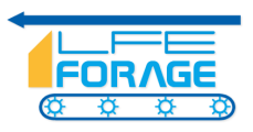LFE forage